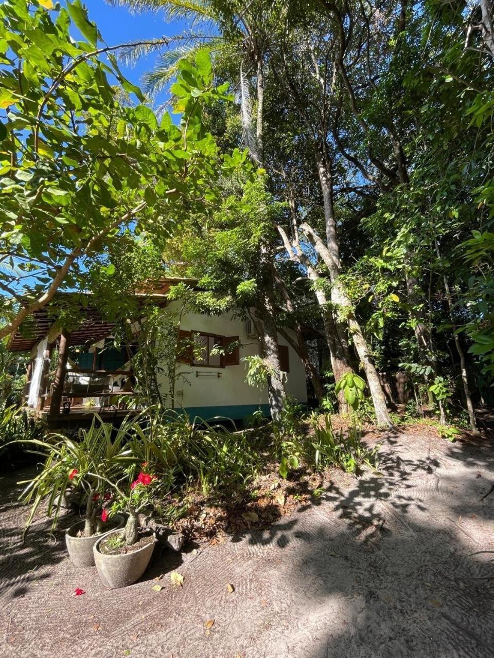 Privacidade, Sossego E Axe Em Taipu De Fora Barra Grande  Exterior photo