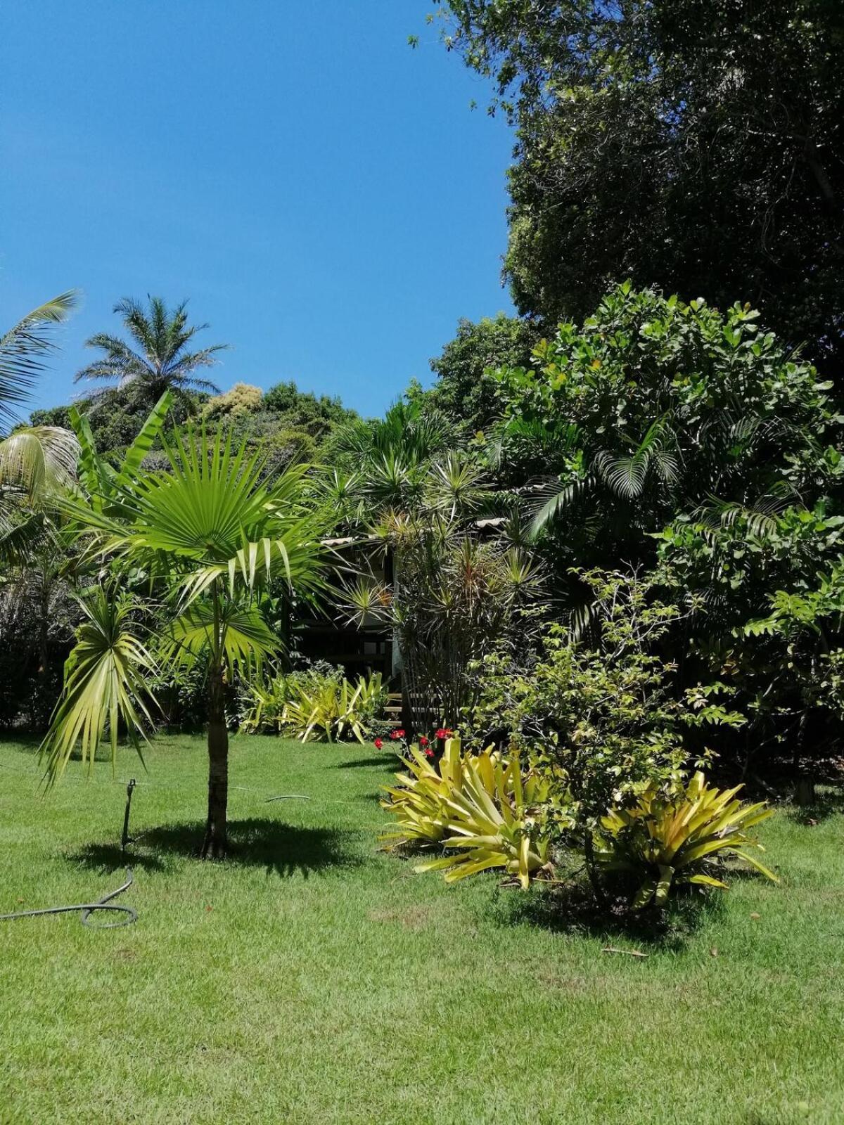 Privacidade, Sossego E Axe Em Taipu De Fora Barra Grande  Exterior photo