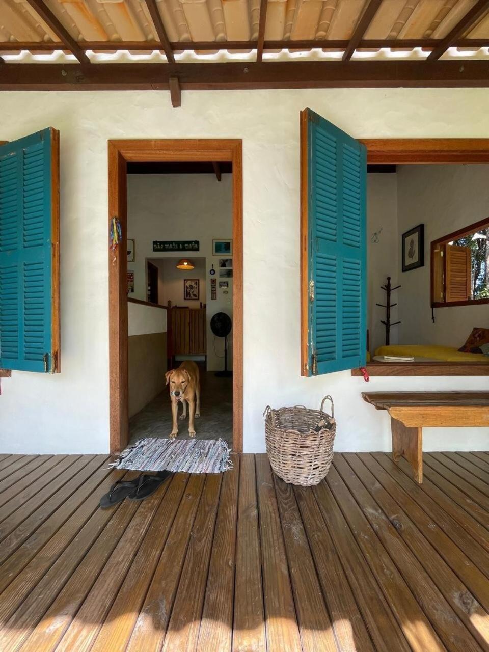 Privacidade, Sossego E Axe Em Taipu De Fora Barra Grande  Exterior photo